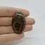 Cabochon Stromatolit 39x25x6mm C35