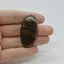 Cabochon Stromatolit 43x22x7mm C43