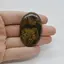 Cabochon Stromatolit 47x30x5mm C5
