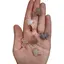 Ciuperca Agat natural 20mm
