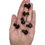 Ciuperca Agat negru 20mm