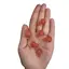 Ciuperca Cuart cherry 20mm