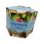 Conuri parfumate HEM Coconut, backflow - 40 buc