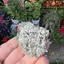 Floare de mina pentru colectie, unicat - C181 (Lot 1)