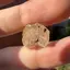 Fenacit nigerian - cristal natural unicat, C31