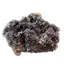 Floare de mina pentru colectie, unicat - C409 (Lot 1)
