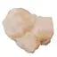 Floare de mina pentru colectie, unicat - C441 (Lot 1)
