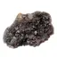 Floare de mina pentru colectie, unicat - C449 (Lot 1)