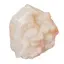 Floare de mina pentru colectie, unicat - C460 (Lot 1)