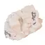 Floare de mina pentru colectie, unicat - C485 (Lot 1)
