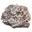 Floare de mina pentru colectie, unicat - C523 (Lot 1)