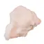Floare de mina pentru colectie, unicat - C531 (Lot 1)