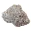 Floare de mina pentru colectie, unicat - C537 (Lot 1)