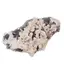 Floare de mina pentru colectie, unicat - C542 (Lot 1)