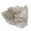 Floare de mina pentru colectie, unicat - C543 (Lot 1)