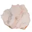 Floare de mina pentru colectie, unicat - C554 (Lot 1)