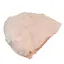Floare de mina pentru colectie, unicat - C571 (Lot 1)