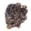 Floare de mina pentru colectie, unicat - C579 (Lot 1)