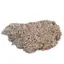 Floare de mina pentru colectie, unicat - C584 (Lot 1)