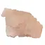 Floare de mina pentru colectie, unicat - C587 (Lot 1)