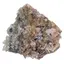 Floare de mina pentru colectie, unicat - C601 (Lot 1)