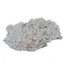 Floare de mina pentru colectie, unicat - C609 (Lot 1)
