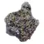 Floare de mina pentru colectie, unicat - C650 (Lot 1)