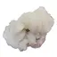 Floare de mina pentru colectie, unicat - C656 (Lot 1)