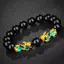 Bratara Feng Shui pe elastic cu Pi Yao si onix 12mm
