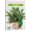 Set 6 pastile lumanari parfumate Bispol - Fir Tree