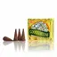 Conuri parfumate fumigatie HEM Good Fortune 10 buc