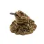Statueta Feng Shui Broasca raioasa din rasina cu monede si mantra, 5,5cm