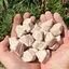 1 Kg cristale naturale brute Feldspat
