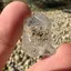 Diamant Herkimer, cristal natural unicat, B8