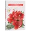 Set 6 pastile lumanari parfumate Bispol - Hibiscus White Sage