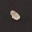 Fenacit nigerian, cristal natural unicat, F141