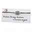 Bratara Therapy Aventurin oval cu montura argintie