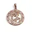 Pandantiv din cupru placat cu aur roz 18k rotund pentru zodia Varsator, 25mm