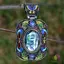 Pandantiv scoica abalone cu montura 68x38x8mm