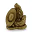 Statueta Feng Shui Sarpe pe monede chinezesti si pepita, 4cm