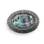 Brosa ovala cu Scoica Abalone, 47mm