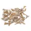 Dinti de rechin, lot 20g