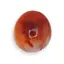 Palm Stone cristal natural Carneol, 80-100g