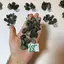 Prehnit de Maroc, lot cristale naturale unicat, 100g, A22