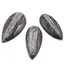 Fosila Orthoceras mica, 8-9cm