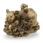 Statueta Feng Shui Sobolan cu pui si Ru yi din rasina, 10cm