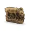 Statueta Feng Shui Bivol mic in picioare cu monede din rasina, 3cm