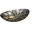 Bol din scoica abalone