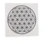 Tablou Floarea vietii 19,5x19,5 cm