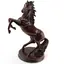 Statueta Feng Shui Calul Cabrat, simbol al puterii, curajului, victoriei si ascensiunii